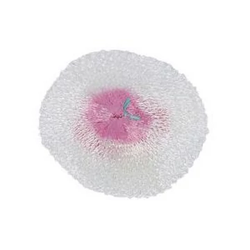 camping lámpaharisnya