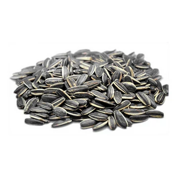 Napraforgó fekete 1 kg