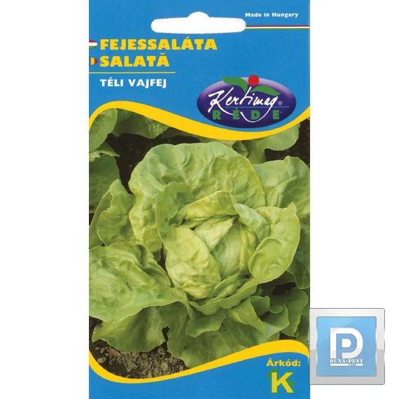 Fejessaláta téli vajfej