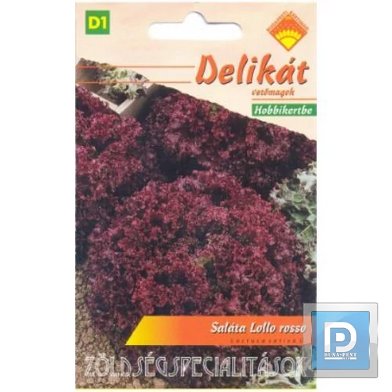 Levélsaláta lollo rossa