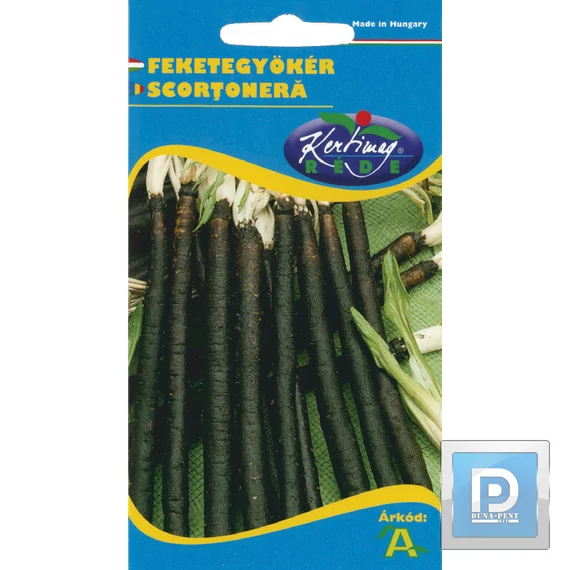 Feketegyökér