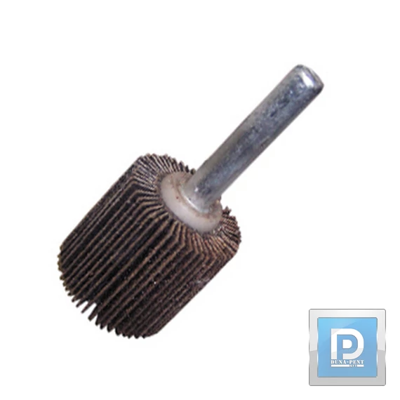 Csapos szaturnusz korong d15*15*S3 60A