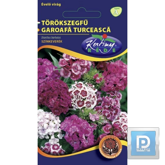 Törökszegfű színkev.