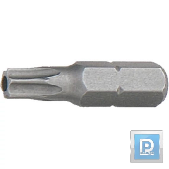Torx 30*25 BIT