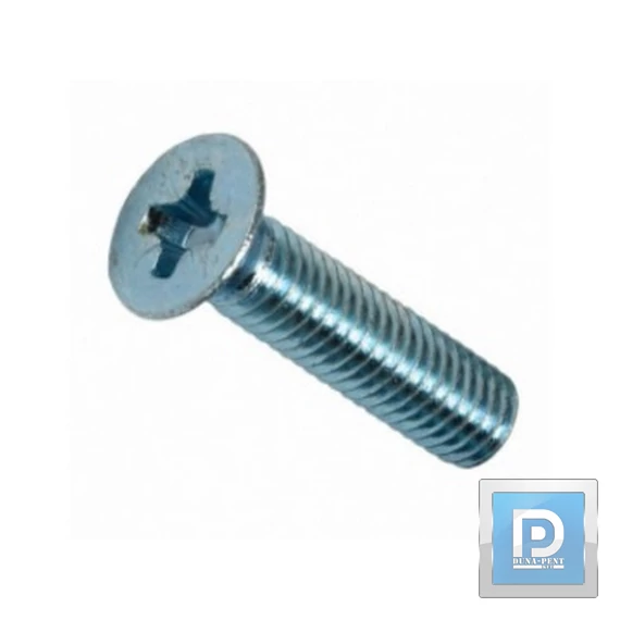 Süllyesztett fejű metrikus csavar M 6*35