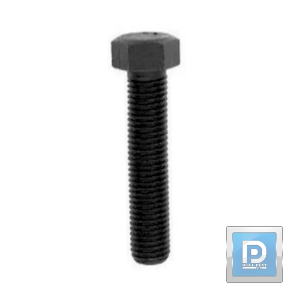 M12*110 BKNY DIN912 8.8 horg.