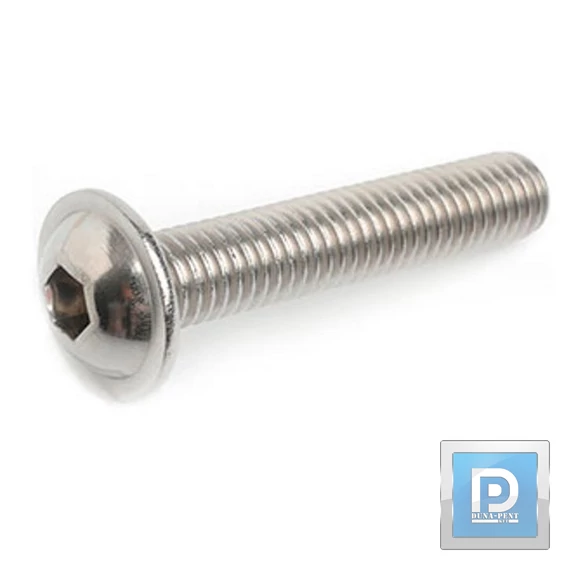 M6*20mm D-fejű Belső kulcsnyílásos Peremes  fejű10.9 csavar