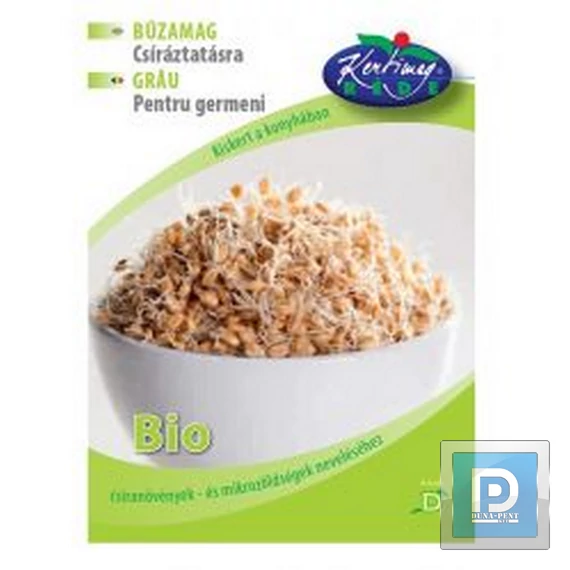 Búzacsíra